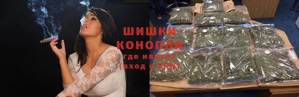 сатива Абинск