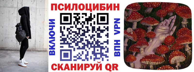 купить цена Тюмень площадка состав Псилоцибиновые грибы GOLDEN TEACHER